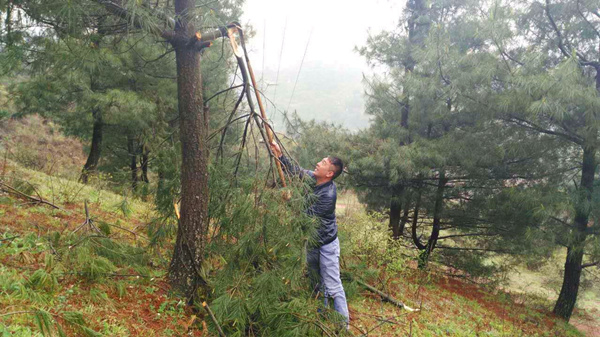 貴州開元員工巡查高壓線路紀實