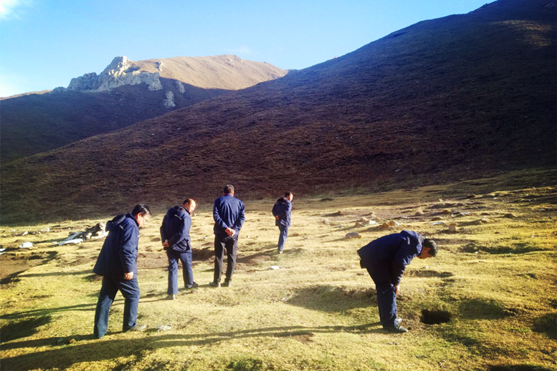 興海銅鑫召開礦區生態治理動員部署會